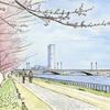 信濃川やすらぎ堤、桜がそろそろ開花の散歩コース ♬