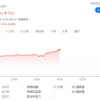 【CXSE投げ売りの終わり】前日比+20%も楽観視できない