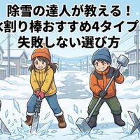 スノーダンプってどれがいい?どんなのがおすすめ?雪質・体力・用途で スノーダンプってどれがいい?どんなのがおすすめ?雪質・体力・用途で
