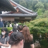 「鈴虫寺とお願い事一つ」(嵐山の御朱印) 