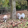 温存してたパワー解放