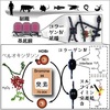 化学元素臭素が人間や他の動物たちの生命にとって不可欠である事を研究者たちは発見した