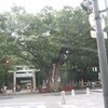 大国魂神社_入口の欅？（東京都府中市）