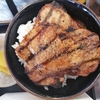 帯広発祥の豚丼