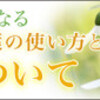 受付開始！７月２１日（日）ブッダの冥想実践会「言葉の重みについて」（5/24更新）