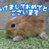 明けましておめでとうございますm(__)m