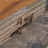 汗だくで越冬対策