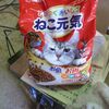 ねこ　元気に　怒る