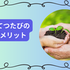 【保存版】おてつたびのデメリット完全ガイド！競合との違いと知っておくべきリスク