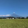今朝の富士山