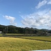 亀岡夢コスモス園