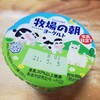 【腸活】乳製品嫌いがなんとか食べられるヨーグルト健忘録【食レポ】