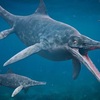 ショニサウルス：三畳紀の海を泳いだ巨大な魚竜の物語
