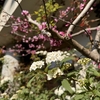 4月の院内研修