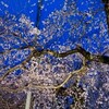 風呂代の節約法に目からウロコ