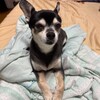 まろにー4273日目