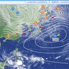 1/14 土曜日　曇天朝露雨一瞬　後曇天時々陽射し