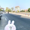 今年もいよいよチェンマイにPM2.5の大気汚染の時期がやってきた！去年と比べてどうなのか？