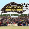 NESSA LIVE 今年は開催です！