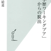 おもに住まい本が多かった