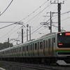 雨模様の天気が続きそうです