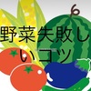 夏野菜失敗しないコツ