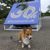 昭和記念公園オフ会