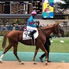 東京競馬5R メイクデビュー　9 サヴィトリ　がんばれぇぇぇぇぇ！！