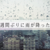 一週間ぶりに雨が降った日