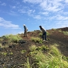 あいてぃラボin三宅島研修