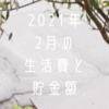 2021年2月の生活費と貯金額と花粉症で死にかけている話