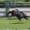 ７月１１日（土）　勝負・注目レース結果　ー馬連1点張り　1,250円的中！も・・・