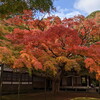 千如寺、行ってみた