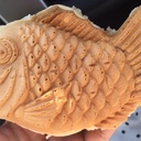 のざらし