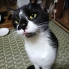 田舎あるあるなのか？