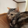 近くにありながら、行ったことが無かった温泉