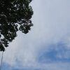 梅雨明けですって.. ！？