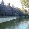 伊勢神宮に