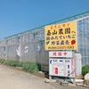 横須賀 「いちごはうす 嘉山農園」有名パティシエも愛用する絶品の感動いちごが食べられる！簡単に真似できない美味しい理由がコレだ！
