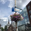 オランダパートナービザ取得を目指している理由