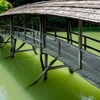 弓削神社の橋