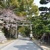 藤森神社の桜。見頃や開花状況。