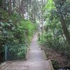 諏訪八幡神社裏（埼玉県飯能市）