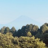 今朝の景色