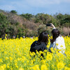 リーフでおでかけ  伊良湖菜の花ガーデン 菜の花まつり【東海エリア】