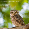 教育ICTリサーチ ブログ 11周年
