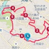 ６日目のランは翼竜の坂のモーニングセット６．３kmジョグと母親の転院