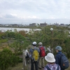 水辺を満喫　江戸川区・公園や緑道めぐる