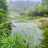 龍神沼（青森県青森）