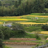 神戸の里山